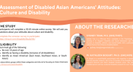 Assessment of Disabled Asian Americans' Attitudes: Culture and Disability